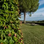 Montelisi Vila *
