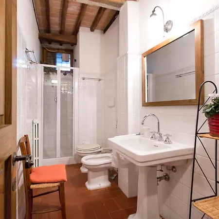 Montelisi فيلة *