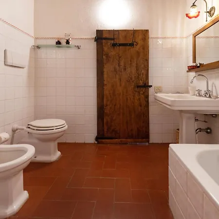 فيلة Montelisi *