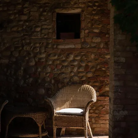 فيلة Montelisi *